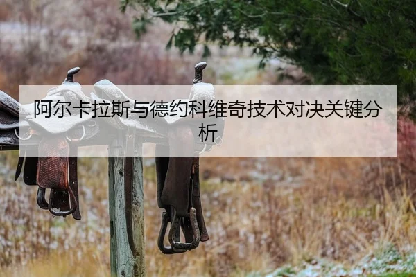 阿尔卡拉斯与德约科维奇技术对决关键分析 | leyu
